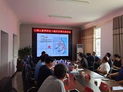三清山康養特色小鎮項目策劃座談會順利召開，共謀旅游開發新篇章