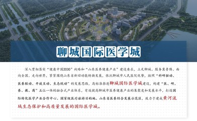 東灘顧問順利推進(jìn)《聊城醫(yī)養(yǎng)健康城概念策劃》項(xiàng)目中期匯報工作